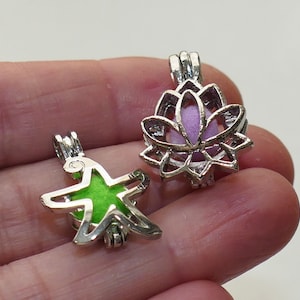 Può includere: Due ciondoli d'argento, uno a forma di stella con un centro verde e l'altro a forma di fiore di loto con un centro viola.