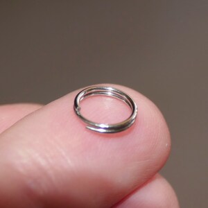 Puede incluir: Un anillo de salto plateado, un peque&ntilde;o anillo de metal utilizado para conectar componentes de joyer&iacute;a.