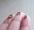 Bronze Double Jump Rings, 4mm, 5mm, 6mm, 8mm, 10mm, 12mm, 14mm  Split Rings C429