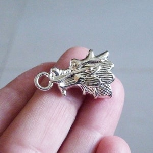 Può includere: Ciondolo a forma di testa di drago in argento con un anello per attaccarlo a una collana o un braccialetto.