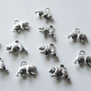 May include: Ten silver bear charms with a loop for attaching to jewelry or other crafts.