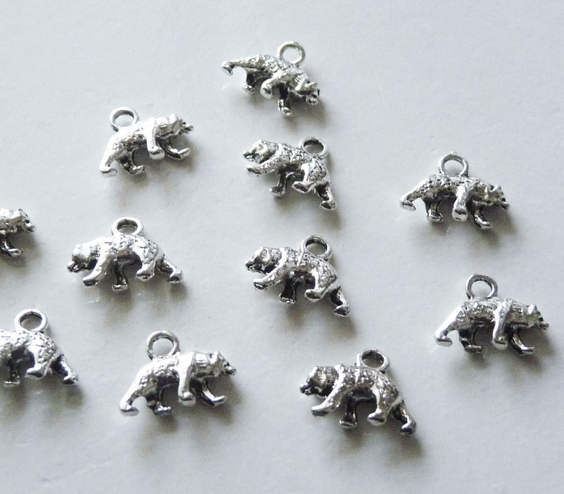May include: Ten silver bear charms with a loop for attaching to jewelry or other crafts.