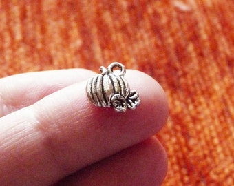 May include: Silver charm in the shape of a pumpkin with a stem and leaves.