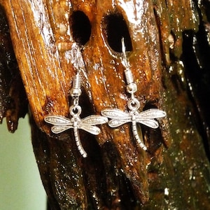May include: Silver dragonfly earrings with a dangling design. The earrings are hanging from a piece of driftwood.