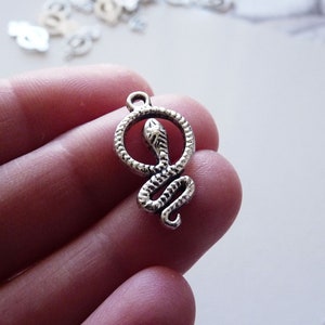 May include: Silver charm featuring a coiled snake with a textured body. The snake is curled in a circle with its head raised.