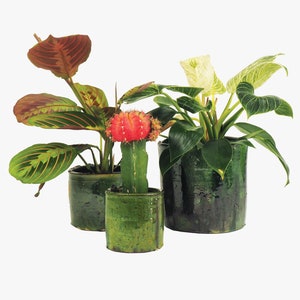 Moroccan Vintage Tamegroute Planter/Pot, Small, Medium, Large, Handmade Glazed Pottery, Decorative Pot, Plant Pot, Utensil Pot, Home Decor image 3