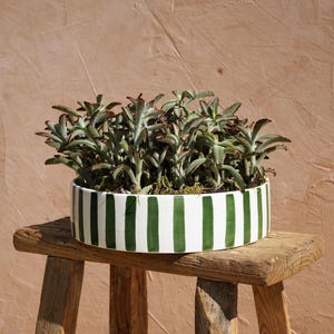 May include: A round white planter with vertical green stripes, filled with green plants. The planter sits on a rustic wooden stool against a textured, light brown wall. The plants have green leaves with reddish-brown edges.