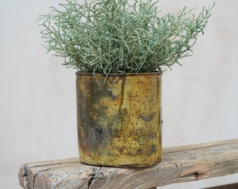 Könnte beinhalten: Ein zylindrischer, rustikaler Keramik-Blumentopf mit einer strukturierten, gesprenkelten gelb-braunen Oberfläche. Er enthält eine dichte Anordnung von hellgrünem, nadelförmigem Laub. Der Topf steht auf einer verwitterten Holzbank und erzeugt eine natürliche, erdige Ästhetik.