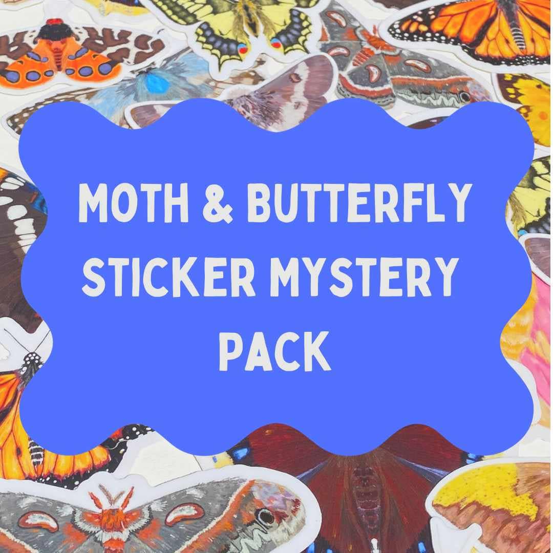Moth and Butterfly Sticker Mystery Pack, Cottagecore Decals - Etsy