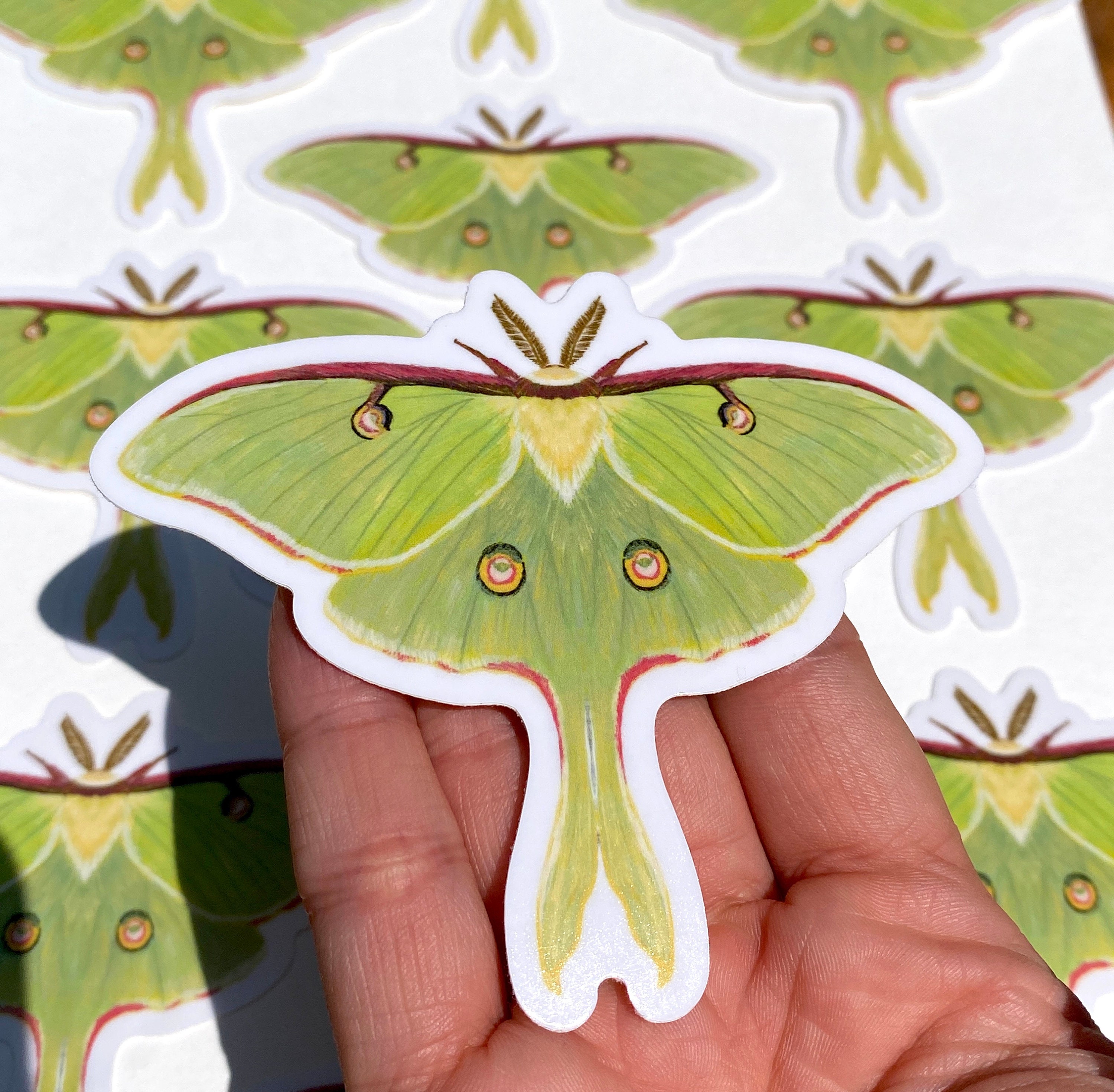 Realistic Luna Moth Vinyl Sticker - Etsy