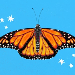 Monarch Butterfly Illustration Print
