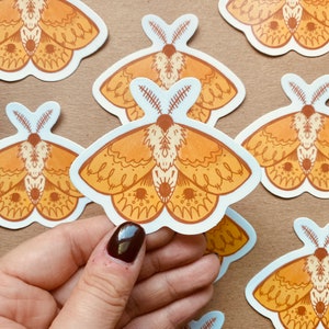 Woodland Moth Vinyl Sticker