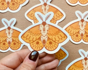 Woodland Moth Vinyl Sticker