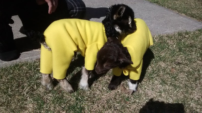 Red Reindeer Pajamas Pajamas for Goats Goat Pajamas Fleece Pet Pajamas Pet Pajamas Handcrafted Pajamas