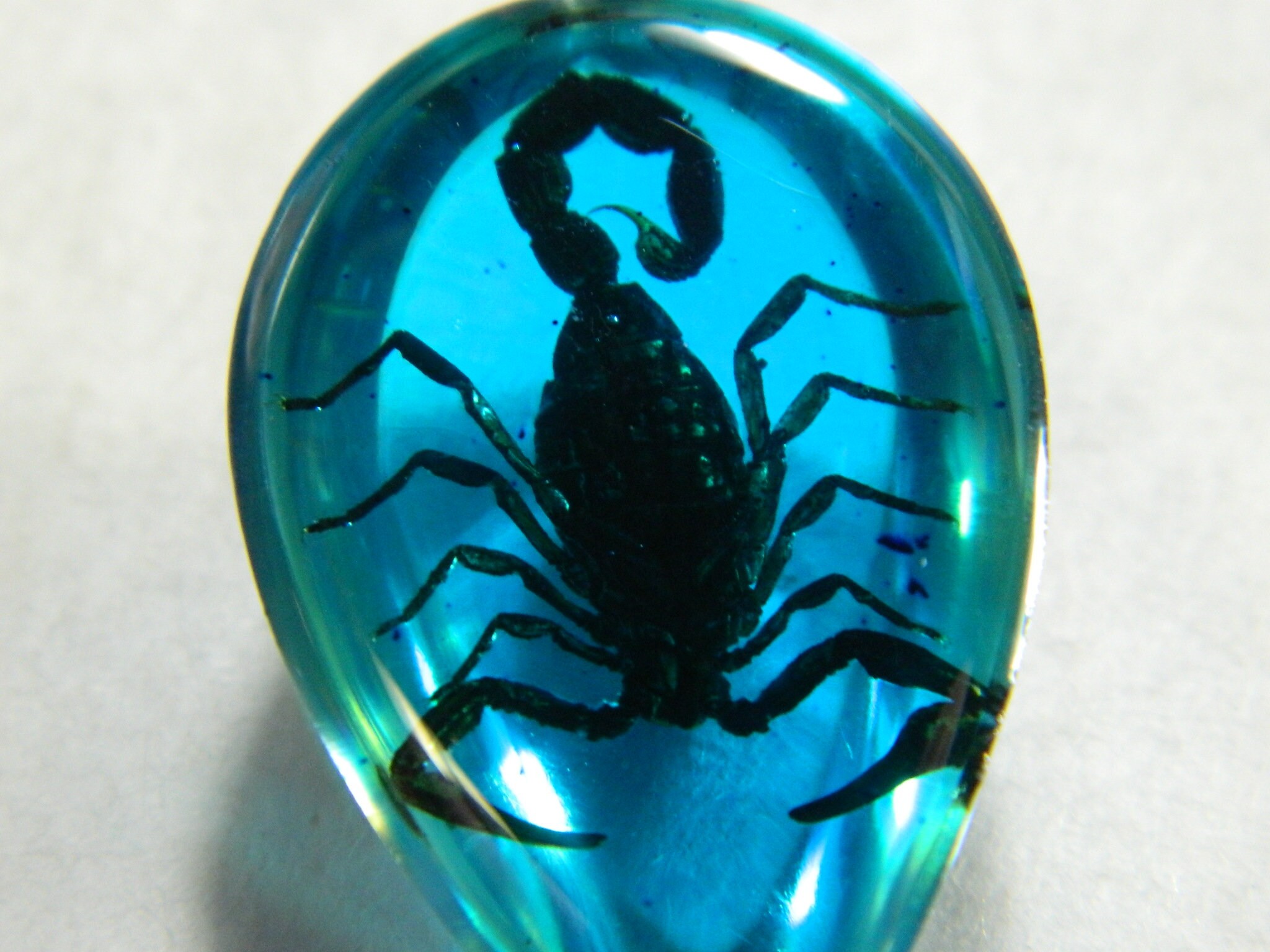 Scorpion in Blue Resin Keyring Keychain Real Insect Scorpion Etsy