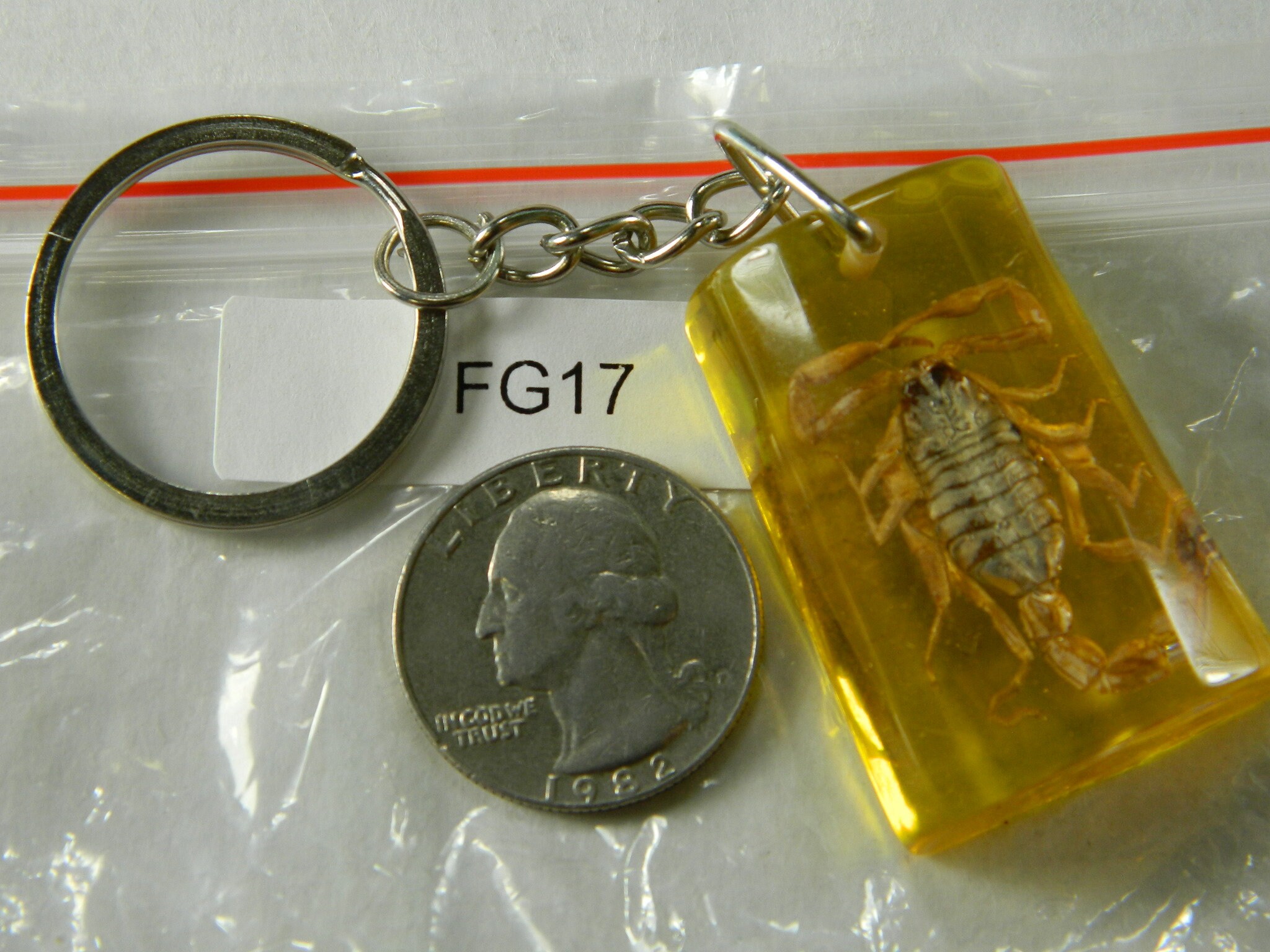 Scorpion in Yellow Resin Keyring Keychain - Real Insect Scorpion in Yellow Resin Keyring Keychain - Real Insect