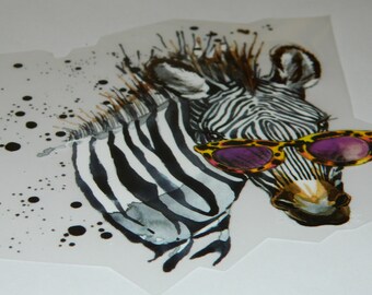 MED Too Cool Zebra Iron On Transfer Clothes Sticker DIY Patch - Color Sensations Zebra Iron-On Shirt Patch - Color Patch