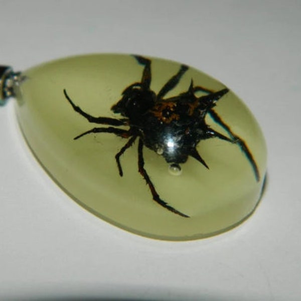 38MM Real Spider Glow Resin Drop Pendant - Glow In The Dark Spider Insect Flat Round Resin Drop Pendant - 1 Bug Glow Pendant Per Order #80