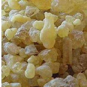 Frankincense natural resin Oman 1 pound lots