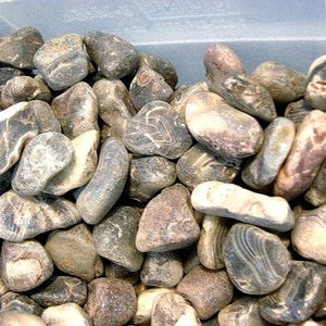 May include: A collection of smooth, rounded river rocks in various sizes and colors, including gray, brown, and white. Some rocks have unique patterns and striations. Ideal for landscaping or decorative purposes.