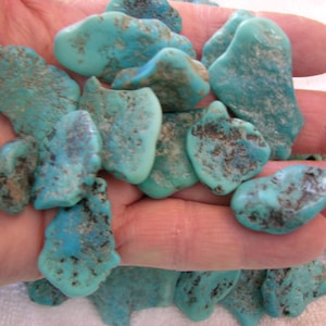 Turquoise mine rough Arizona bigger stabilized 1-1.7 inch 1/8 pound lots