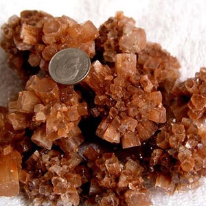 May include: A cluster of brown aragonite crystals, some with a reddish hue, arranged in a natural formation. The crystals are sharp and pointed, with a rough texture. A US quarter is included for scale.