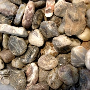 Botswana agate mine rough 1 to 2.25 inch 1 pound lots