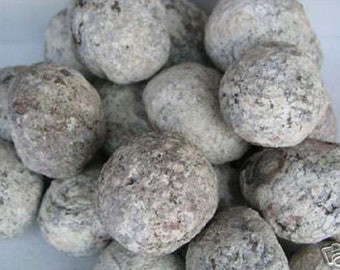 Géodes en agate de noix de coco avec cristaux pour casser la coupe de 2-3+ pouces Mexique 1 lot de géode