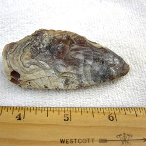 Op de afbeelding: Een natuurlijke, bruine en beige oesterschelp met een gelaagd, getextureerd oppervlak. De schelp is ongeveer 13 cm lang, met een liniaal op de voorgrond voor de schaal. De schelp heeft een glad, gepolijst uiterlijk.