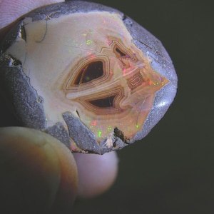 Opal etiopisk blond kritchoklad grovpolerad i matrisnöt med eld 35 x 15 mm 13,5 g. e4