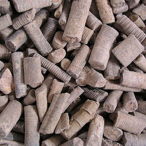 May include: A close-up of a pile of brown and gray fossilized  crinoid stems. The stems are cylindrical and have a rough, textured surface.