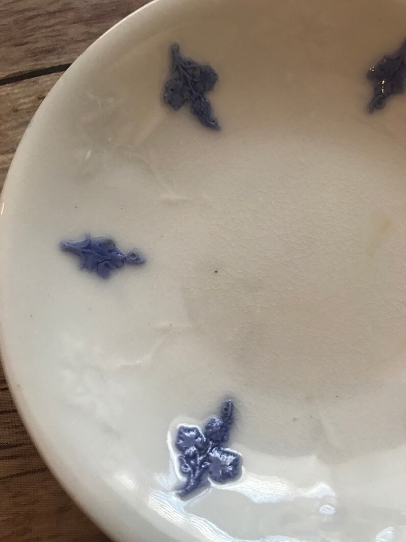Adderley Blue Chelsea Embossed Raised Smooth Grape and Sprig 5 12 Saucer