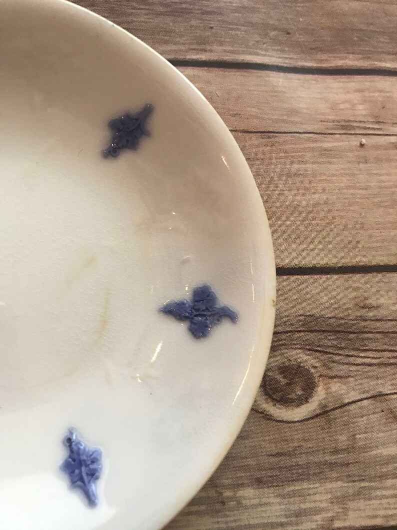 Adderley Blue Chelsea Embossed Raised Smooth Grape and Sprig 5 12 Saucer