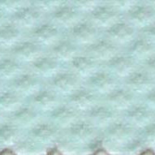 Mint Pima Birdseye Pique Fabric by Spechler Vogel Fabric