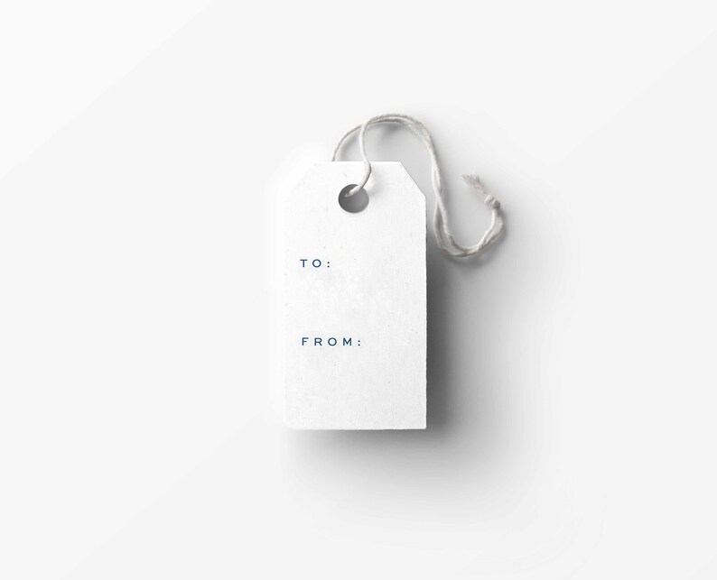 May include: A white gift tag with a string attached. The tag has the words "TO:" and "FROM:" printed on it.