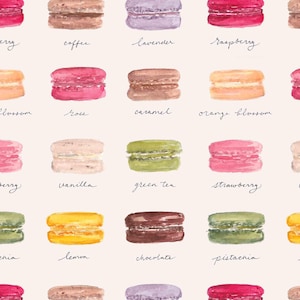 May include: A watercolor illustration of 12 different macarons with their corresponding flavors written below each one. The flavors are: cherry, coffee, lavender, raspberry, orange blossom, rose, caramel, vanilla, green tea, strawberry, lemon, chocolate, pistachio.