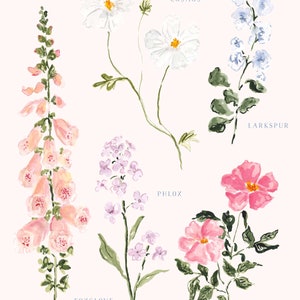 Botanical Art Print No. 1 Summer Garden Flowers - Etsy