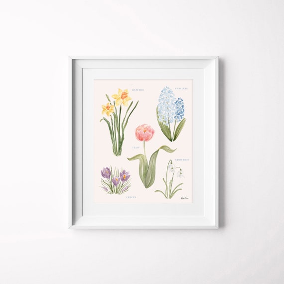 Botanical Art Print No 2 Spring Garden Flowers