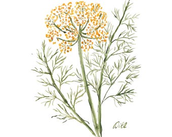 Dill Art Print - Herb Series