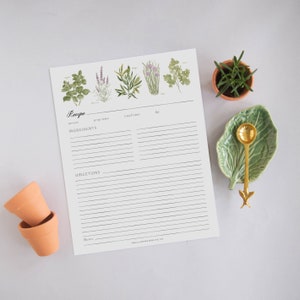 Recipe Binder Filler Paper - Garden Herbs, Watercolor Illustrations, Full Size Recipe Card, Recipe Organization, Garden Theme