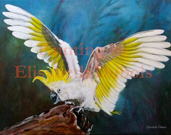 Home décor - cockatoo Australian Wildlife - digital file to print as you wish - Original Art by Elisabeth Dubois