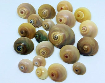 Get Strand dekor zum verkauf For Free