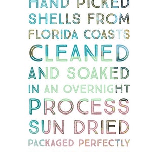 Puede incluir: Un letrero rectangular blanco con texto multicolor que dice: HAND PICKED SHELLS FROM FLORIDA COASTS CLEANED AND SOAKED IN AN OVERNIGHT PROCESS SUN DRIED PACKAGED PERFECTLY TO SHIP TO YOU. Las letras tienen un relleno texturizado y estampado.