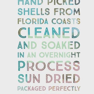 Puede incluir: Un letrero blanco con texto multicolor que dice: HAND PICKED SHELLS FROM FLORIDA COASTS CLEANED AND SOAKED IN AN OVERNIGHT PROCESS SUN DRIED PACKAGED PERFECTLY TO SHIP TO YOU. Las letras tienen una apariencia texturizada y estampada.