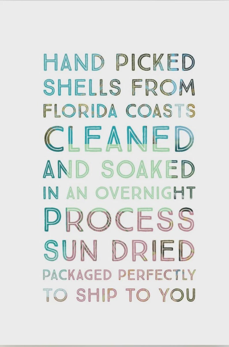 Puede incluir: Un letrero blanco con texto multicolor que dice: HAND PICKED SHELLS FROM FLORIDA COASTS CLEANED AND SOAKED IN AN OVERNIGHT PROCESS SUN DRIED PACKAGED PERFECTLY TO SHIP TO YOU. Las letras tienen una apariencia texturizada y estampada.