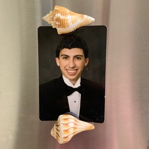 May include: A black and white photograph of a person wearing a tuxedo and a bow tie. The photo is attached to a refrigerator with two seashells.