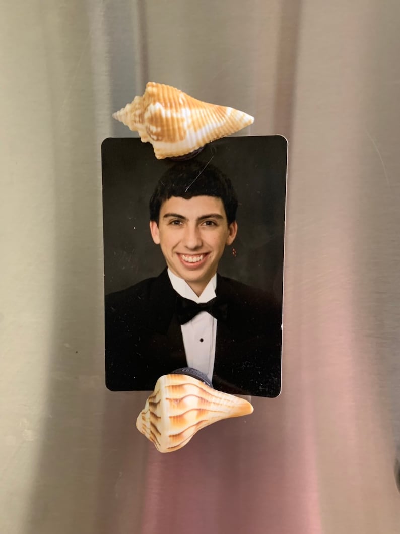 May include: A black and white photograph of a person wearing a tuxedo and a bow tie. The photo is attached to a refrigerator with two seashells.