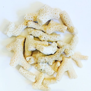 White Coral, White Coral Decor, Coral Beach Decor, Coral Decor, Natural Coral, Coral Pieces, Coral Decorations, Coral Shell