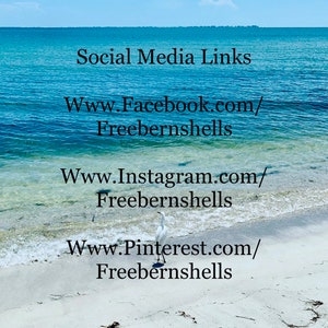 Puede incluir: Una garceta blanca se encuentra en una playa de arena junto al oc&eacute;ano. El texto dice: Social Media Links, Www.Facebook.com/Freebernshells, Www.Instagram.com/Freebernshells y Www.Pinterest.com/Freebernshells, sobre el agua azul y la orilla.