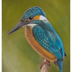 Martin-pêcheur d&#39;Amérique - Impression glissée d&#39;un dessin au pastel sec hyperréaliste, dessin au crayon hyperréaliste, pastel doux